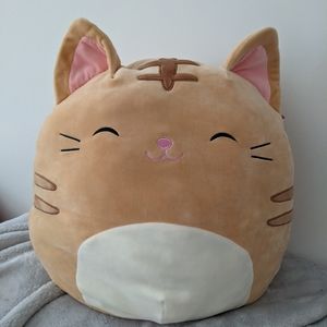 BNwt nathan cat 16" squishmallow